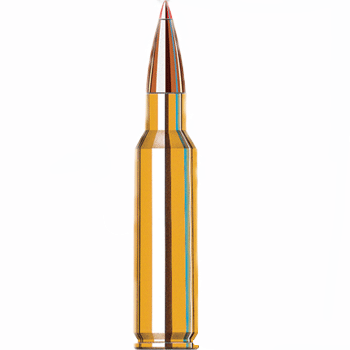 bullet.gif