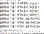bash ping.png