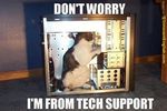 tech-support-funny-cat-pic.jpg