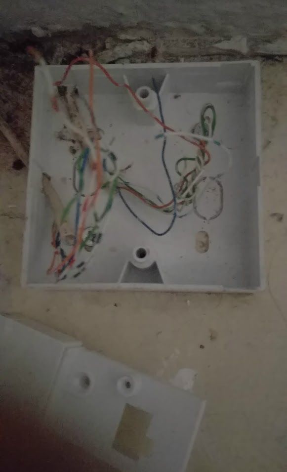 Inside box.jpg