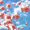 Pigs Might Fly.jpg