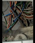 wiring.jpg