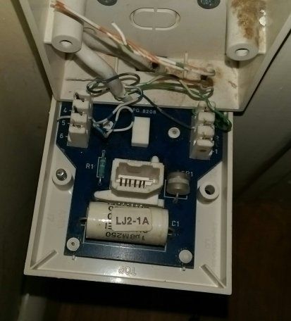 IMAG0897_1.jpg