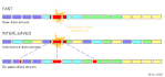 interleave2.gif
