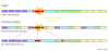 interleave2.gif
