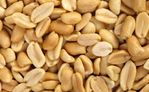 ShelledPeanutsMain.jpg