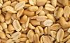 ShelledPeanutsMain.jpg