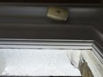 IMG_7937.jpeg