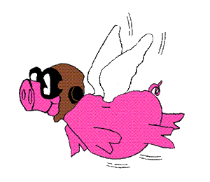 pig2.GIF