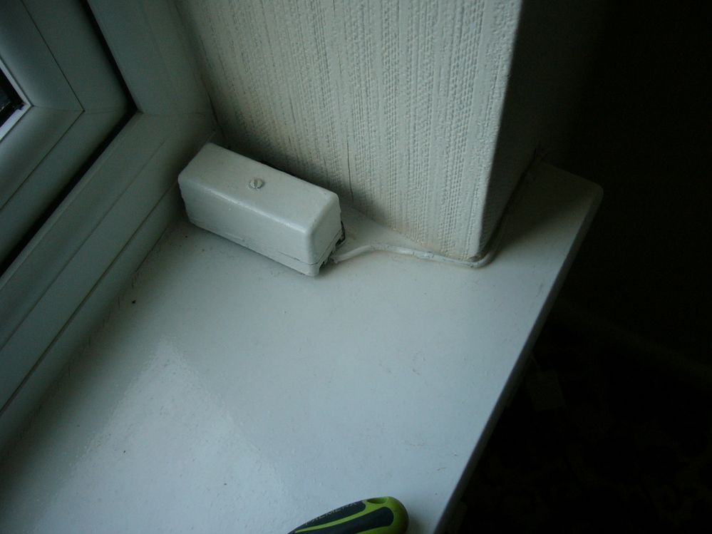 P1030741_2.jpg