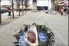 Cable shark.JPG