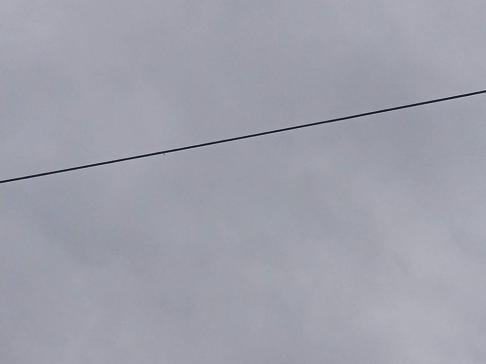 636257872998058635.jpg