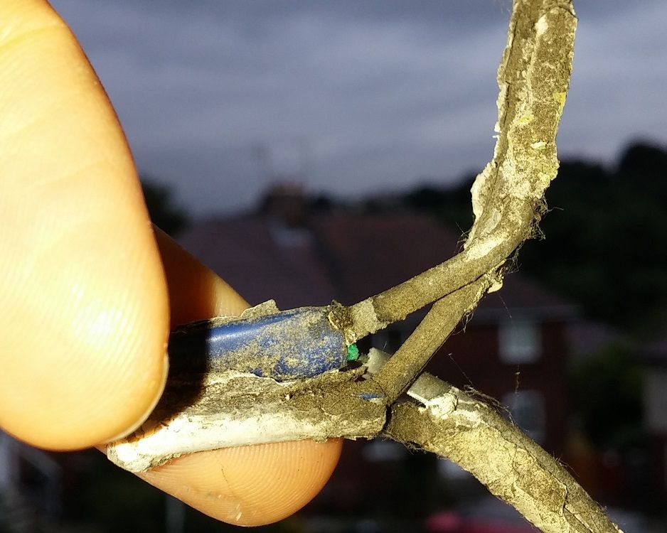 Damaged-Cable.jpg