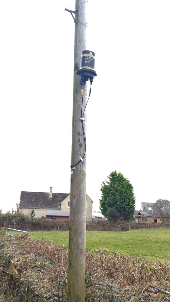 pole2.jpg