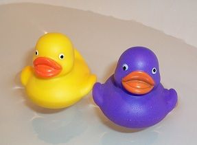 ducks.jpg