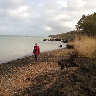 LBDinIOW320x320.jpg