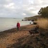 LBDinIOW320x320.jpg