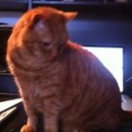 Horatio2