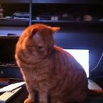 Profile (Horatio2)