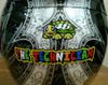 helmet.jpg