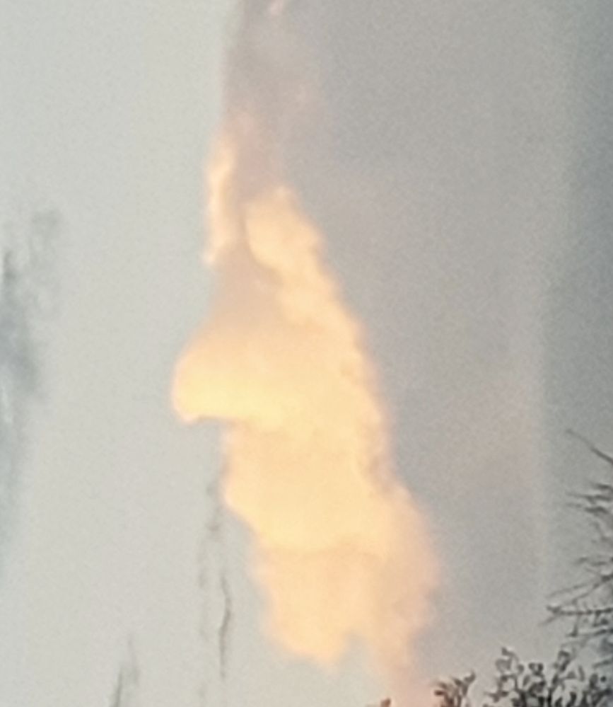 20190402_193111-01.jpeg