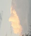 Profile (Floops62)