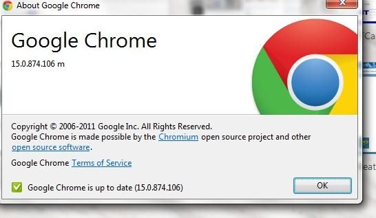 Chrome info.jpg