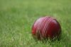 cricket_ball.jpg