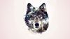 Wolf.jpg