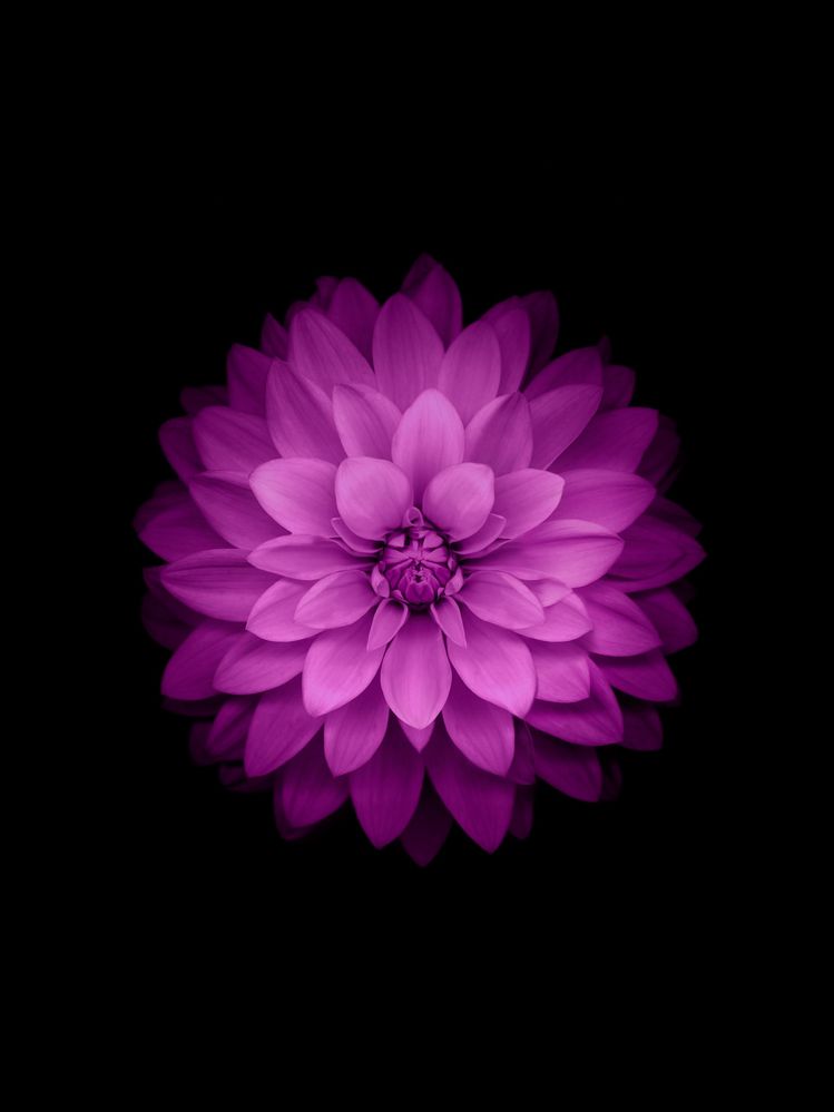 9140EFC9-778D-4820-A70B-D7601F9A403A.jpeg