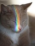 Profile (MethAT)