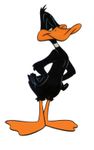 Daffy Duck_2.jpg
