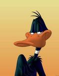 Daffy Duck_3.jpg