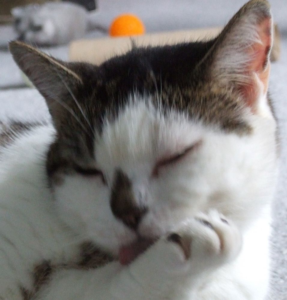 DSCF0159c.jpg