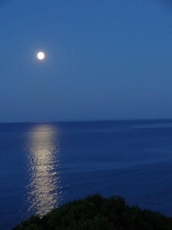 DSC00403 (600x800).jpg