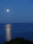 DSC00403 (600x800).jpg