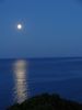 DSC00403 (600x800).jpg