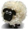 Sheep2.jpg