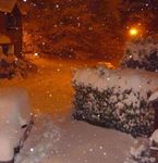 Snow 2 Dec 2010 (1) - Copy.JPG