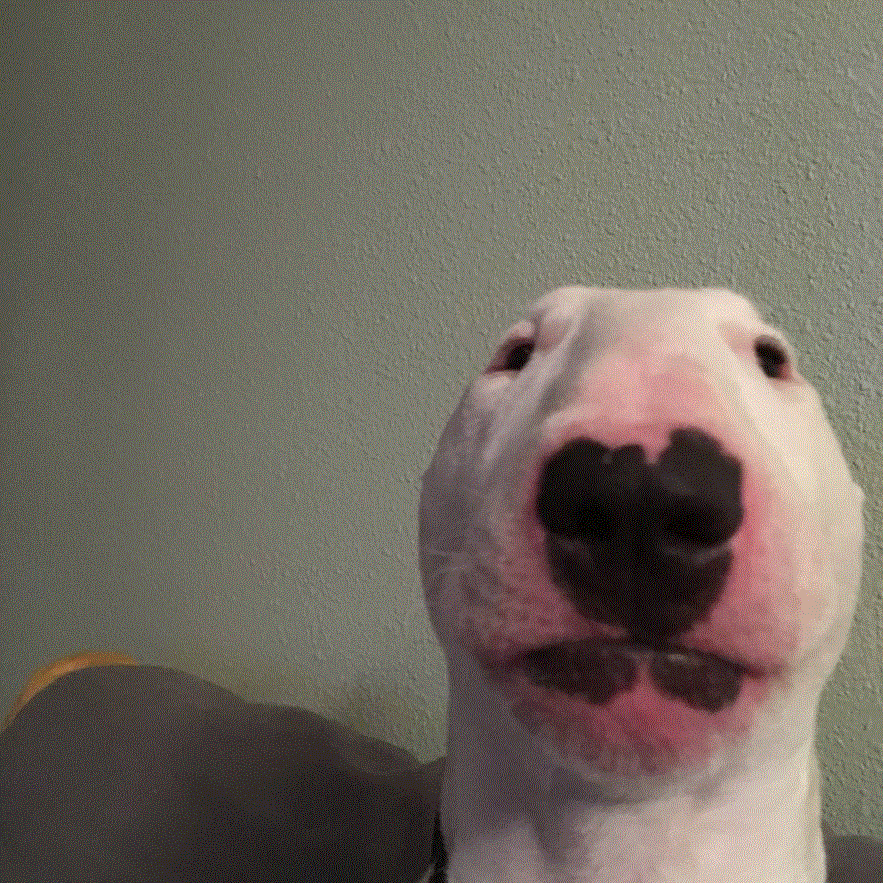 walter.gif