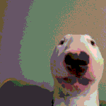 walter.gif