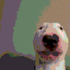 walter.gif