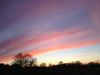 Sky Scene.jpg