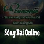 Profile (casinoonlinecbd)