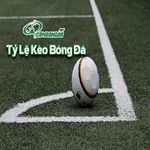 Profile (tylekeocbd)