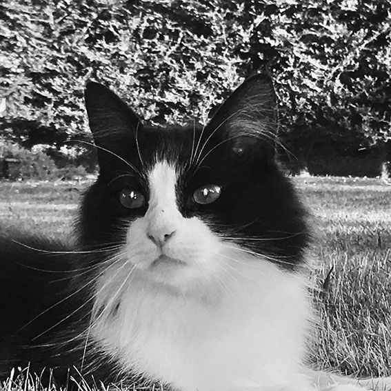 Jess-Cat-IMG_3283small.jpg