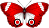 Red_Butterfly_Transparent_Clip_Art_Image.png