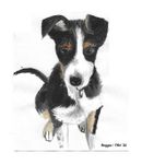 Profile (Reggie20)