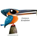 kingfisher7