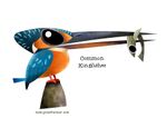 Profile (kingfisher7)